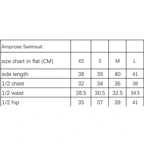 Celia B Amprose Swimsuit NWT XS - Picture 3 of 3